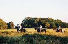 USA-California-Costanoa Coast Getaway